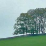 Farmland to the north of Hawes header image (from day 9)