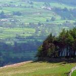 A circle of trees at Kirkcarrion header image (from day 11)